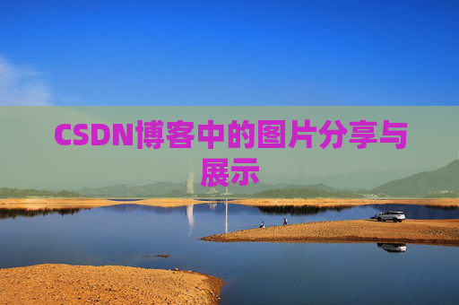 CSDN博客中的图片分享与展示